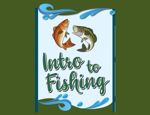 Intro to Fishing